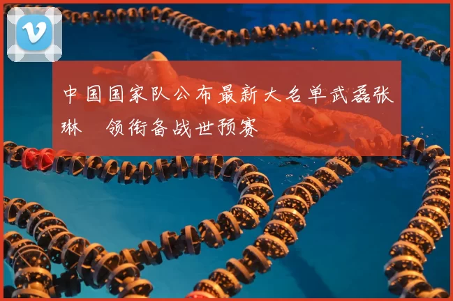 中国国家队公布最新大名单武磊张琳芃领衔备战世预赛