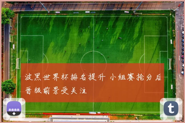 波黑世界杯排名提升 小组赛抢分后晋级前景受关注