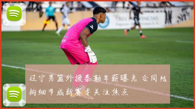 辽宁男篮外援泰勒年薪曝光 合同结构细节成新赛季关注焦点