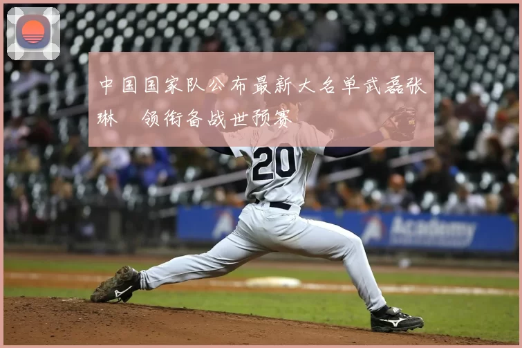 中国国家队公布最新大名单武磊张琳芃领衔备战世预赛