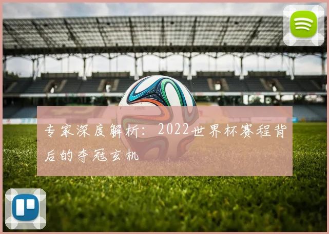专家深度解析：2022世界杯赛程背后的夺冠玄机