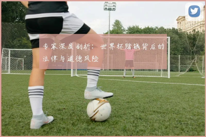 专家深度剖析:世界杯赌钱背后的法律与道德风险