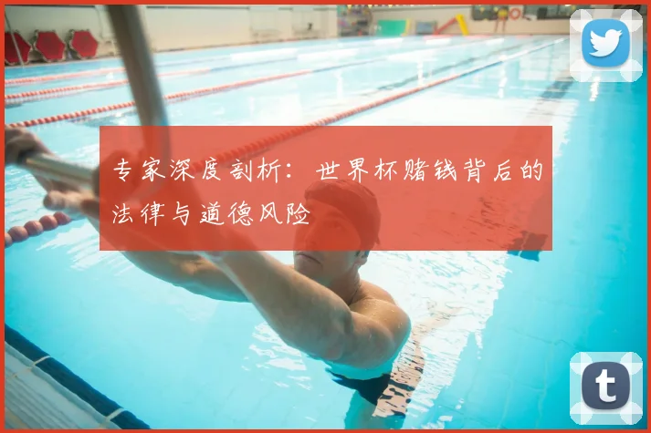 专家深度剖析：世界杯赌钱背后的法律与道德风险